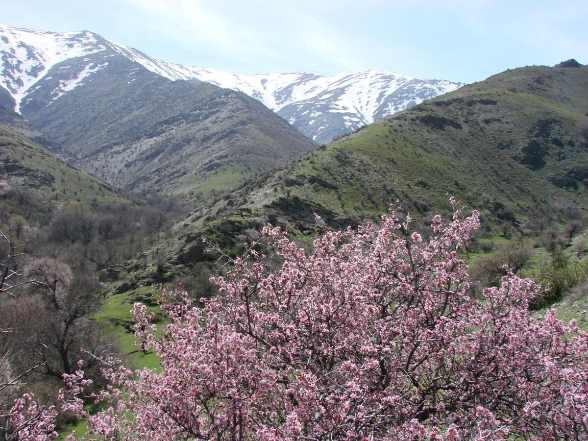 Hayat Guesthouse Nuratau Mountains Yukary-Ukhum 외부 사진