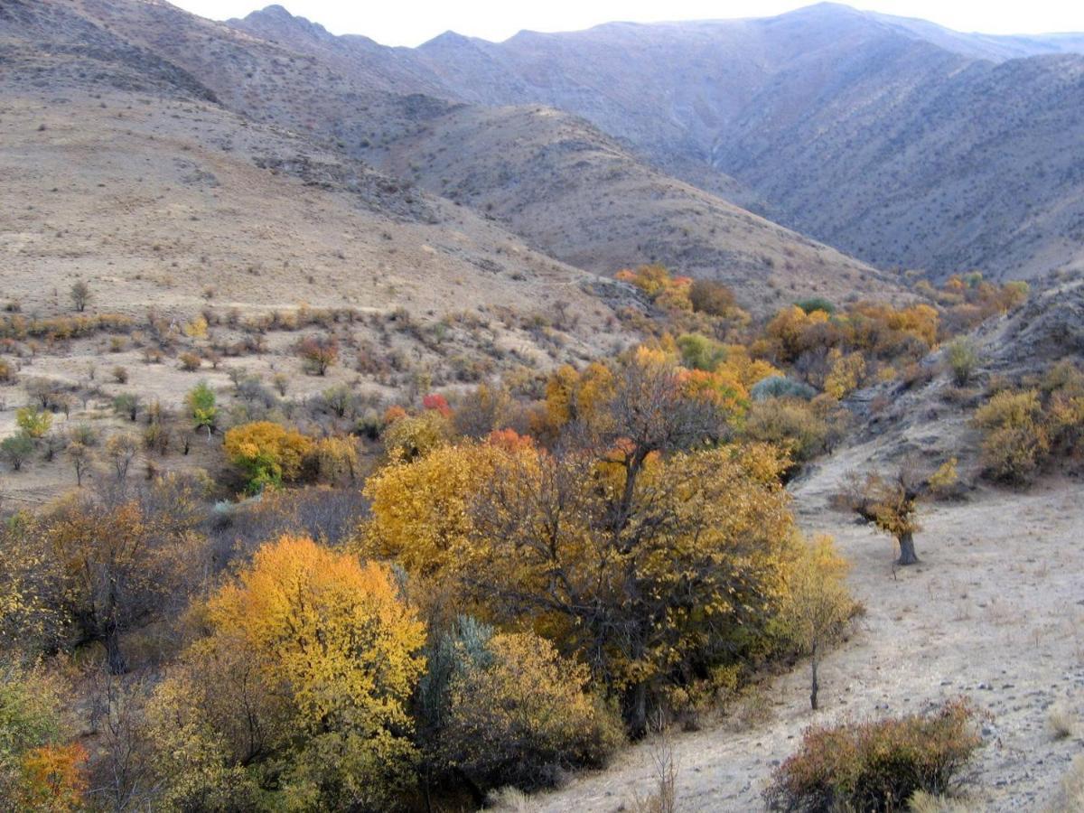 Hayat Guesthouse Nuratau Mountains Yukary-Ukhum 외부 사진